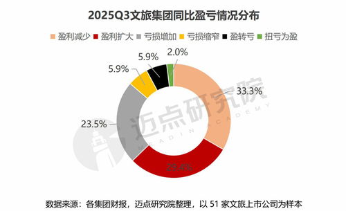 2025年第三季度文旅集團國內(nèi)旅游業(yè)務(wù)財務(wù)分析報告